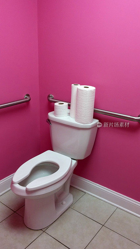 Girls Bathroom Painted Bubble Gum Pink and White Toilet